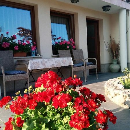 Dolenjska Vila Zuzemberk Экстерьер фото