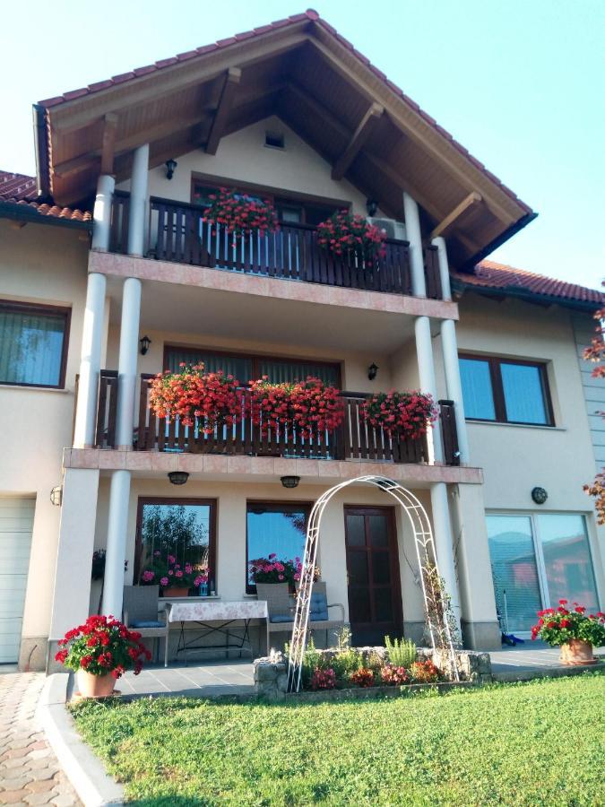 Dolenjska Vila Zuzemberk Экстерьер фото
