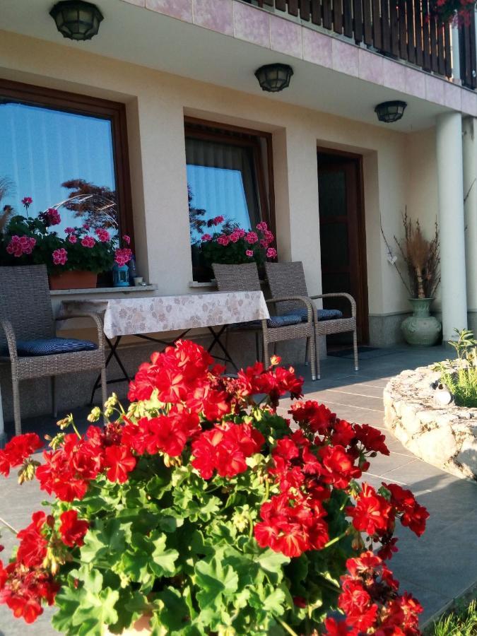 Dolenjska Vila Zuzemberk Экстерьер фото