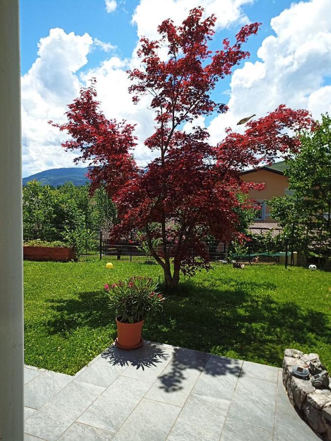 Dolenjska Vila Zuzemberk Экстерьер фото