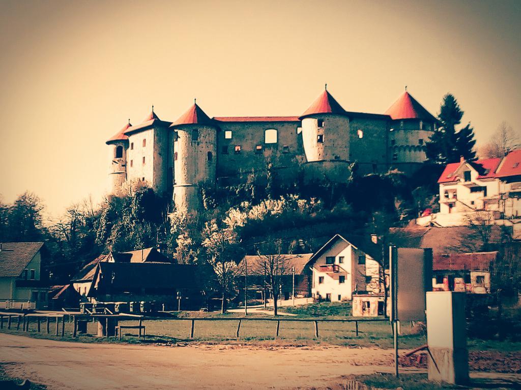 Dolenjska Vila Zuzemberk Экстерьер фото