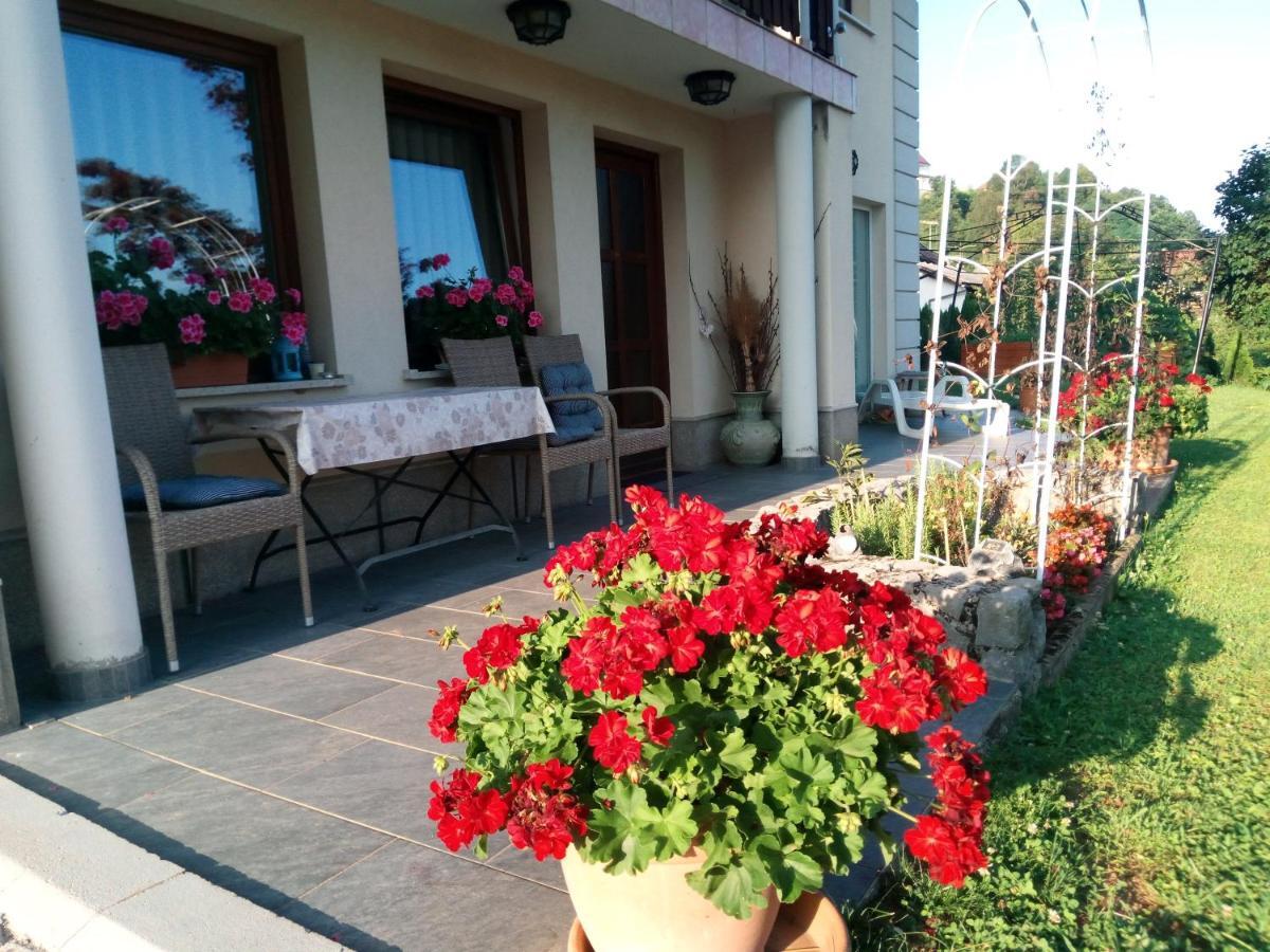 Dolenjska Vila Zuzemberk Экстерьер фото